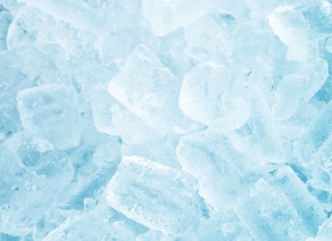 De versheid van vriesverse vis