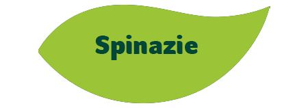 Spinazie